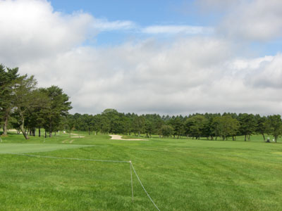 自宅や会社で現場の風を感じられる時代もくるのでしょうか。